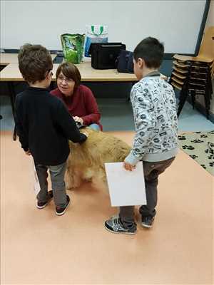 photo partagée par HUMANI'MAUX Médiation pour l’activité monde animalier