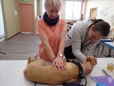 Exemple : monde animalier avec HUMANI'MAUX Médiation