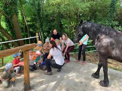 Photo 552 avec Equ’us pour la thématique : bien-etre – thérapeute