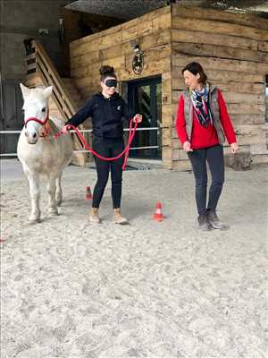 photo partagée par Equ’us pour l’activité bien-etre – thérapeute