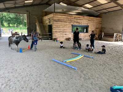 illustration partagée par Equ’us pour l’activité bien-etre – thérapeute